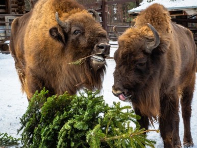 ������ ����!. ���� �� �������� ������� ��� ������� � � ������� ����� ���� ���� ���������