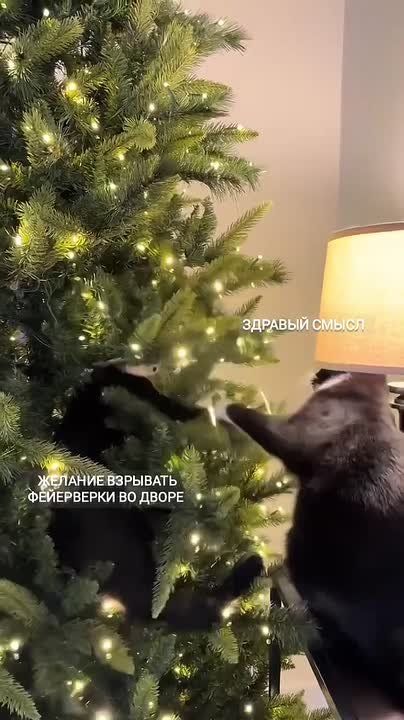 �������� �������. ������, ����� ����� ��������� ������? ����� ���������: �������� ��������� �� �����