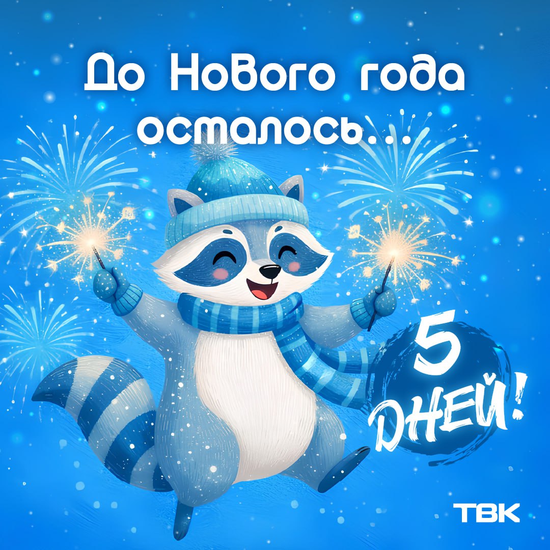 А следующие выходные будут уже в 2026 году – до него всего 5 дней