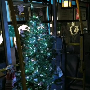 Видео из того самого душевного автобуса