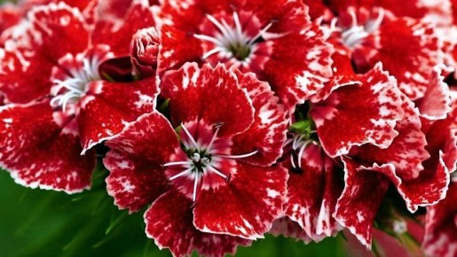 ��������� ������ ������: ��� �� ���������� ����� ��� ������