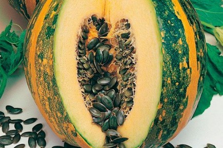 ���������� �����: ���������� ���� ������� � ������������� �������������