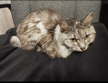 ������� ���� ������ ��� ����� �����