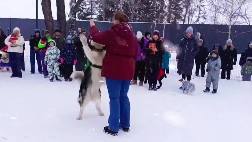 ���� ���, ������� ������� � ��� �����: ��-��-�� ������� �������� � ����������� ������