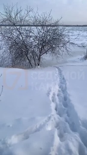 � ��� ����� ����� ��������� ��� �� ����������� ����� ���� ������������, ������� ��������� �� ������ ����� � ����������