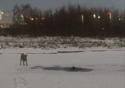 ���������� ���������� ��� ��� � ������ �� ����� �������� � �������