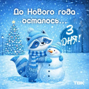 До Нового года осталось 3 дня