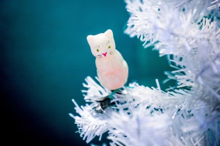 � �� ��������, ��� ������� �������� ��������� ������ 2025 ����?