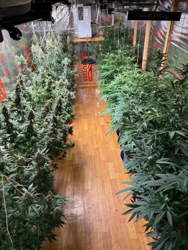 ����������� ��������� ������ �����������, ������� ��������� � ���� �� ���� ������� �� ����������� �������