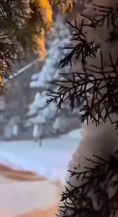 ������ ����!. ����� ���� �������� � �������� ��� � ���� ��������� ����� ��� ����