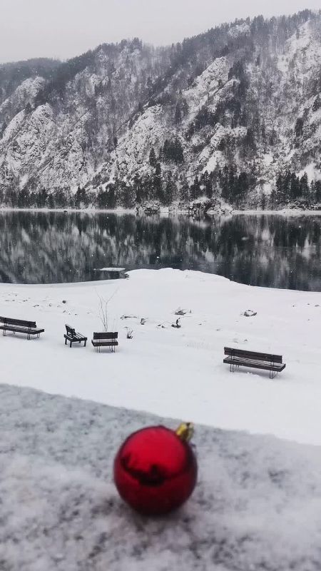 ������ �� 31 �������. ���