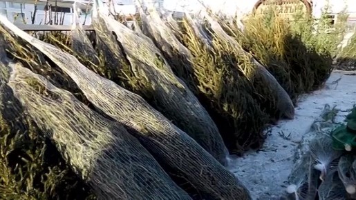 ��������� ����� �� ����� ����