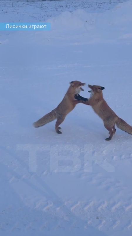 ������� ������� ���������� � ������ �������� �� ����� �����