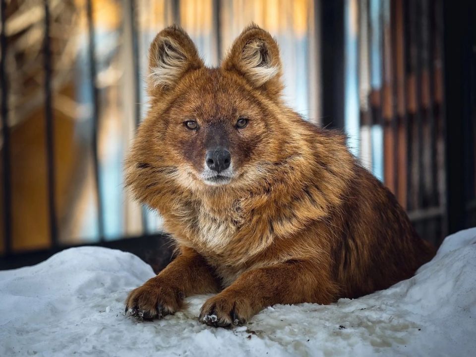 ���� ����� ����� ����������� ����� ������ �� ������ �������� � ������� 2026 ����