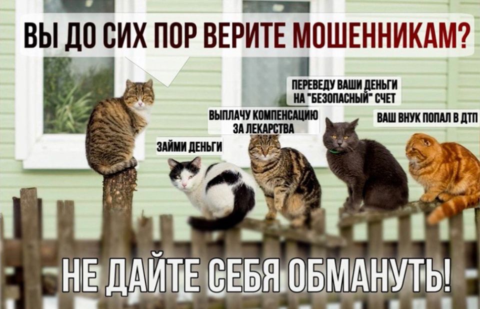 ���-7 ����� ���������������� ������������� ����, �� ������� � 2025 ���� ���������� ��������