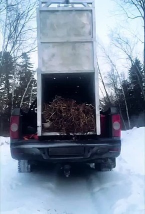 � �� ������, ��� ����� ��������� � �����?