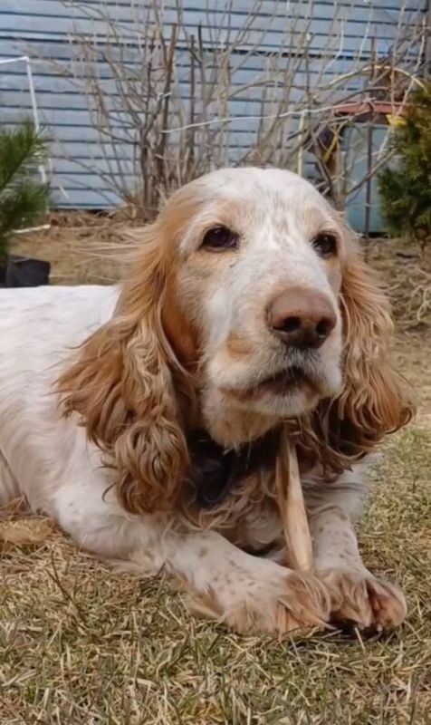 ��������� ��������� ���������� ���� � ��������� �����