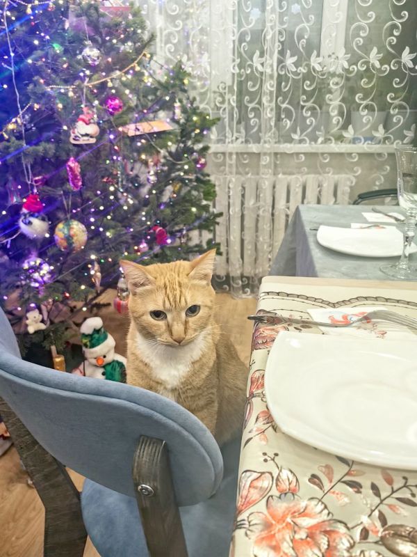 �� �� ����� ��� �������� �� ����, ���?