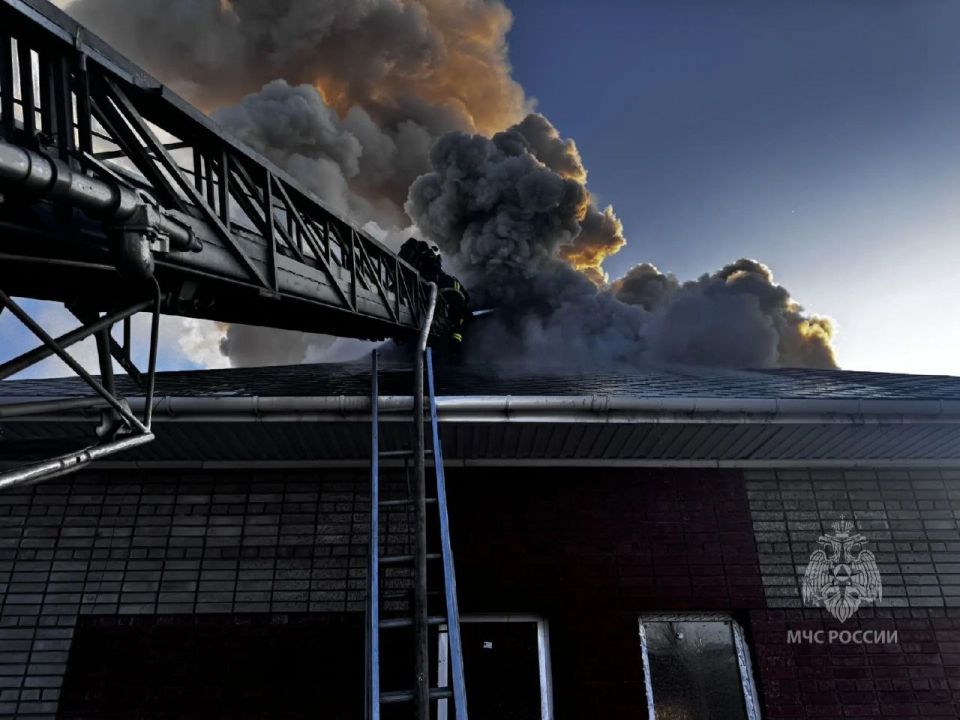 ����������� ����� �����. �������� 18 �������, ������� 4 ��������