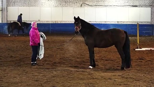 ��� ������ ��� ������ �������