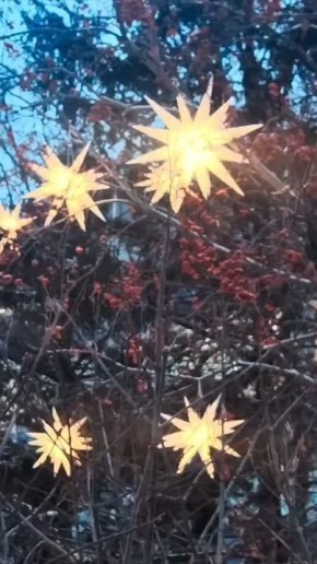 Погода на 1 января. Как тепло, давненько не было так! ТВК