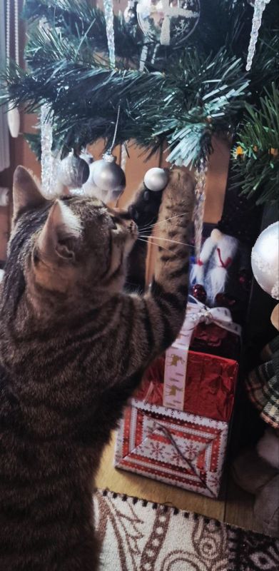 �� ���, �� ���!. �������� �������� �������� ����