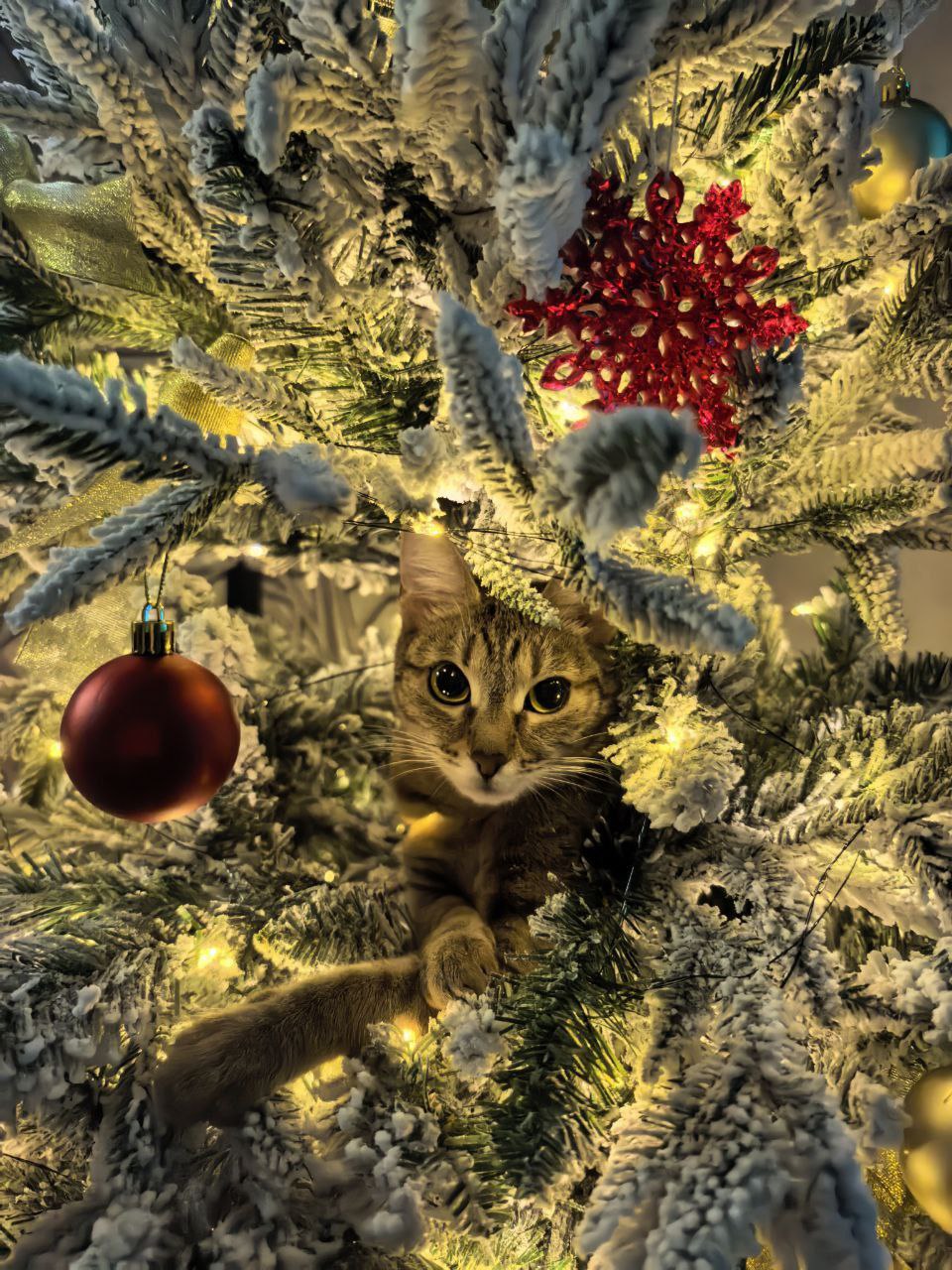 Одна деталь, которая сделает ваш дом уютнее: Одна деталь, которая сделает ваш дом уютнее: