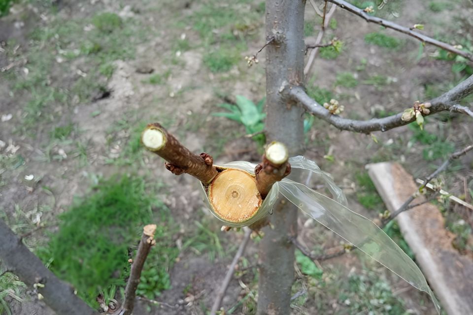 ������� � ����� �����: ��� ������� ��������� ������