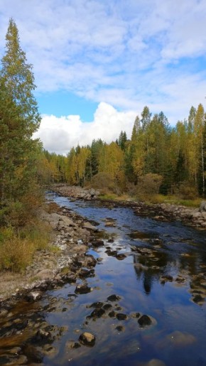 ����������� �� ����� ������: ������� ������������� � �������� ������������