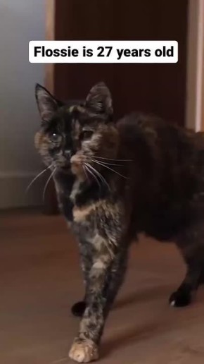 ��������� � ���� ����� ������������� 30-������ ������