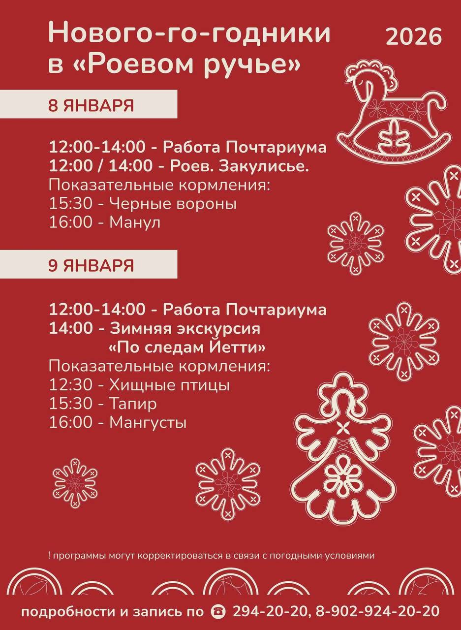 Парк флоры и фауны «Роев ручей» ждёт красноярцев на «Нового-го-годники» Парк флоры и фауны «Роев ручей» ждёт красноярцев на «Нового-го-годники»