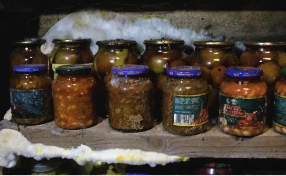 ��� ���������� � �������� � �������: ������� ���� � ����������� ������