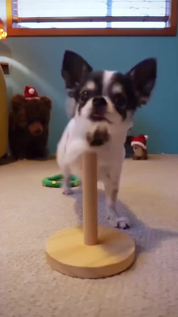 Елочка, не гори!. Хоть и наступил Новый год, а елочки у нас в домах все еще стоят