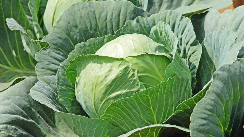 ��������� �����: ��� �������� ������ �� ���������� ��� �����