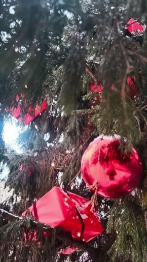 Погода на 3 января. ТВК