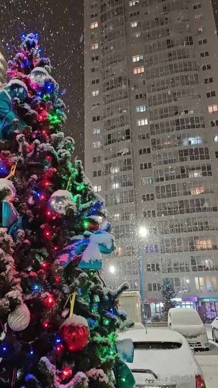 ������ �� 4 ������. ���