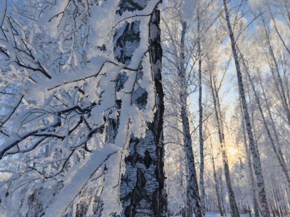 ������ ��������� ��� � ������� ������