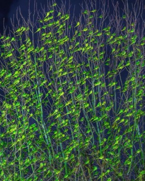 ��� �� ������, �... �������