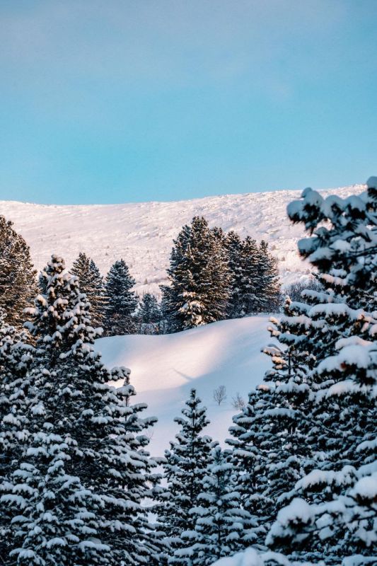 ������ ������ ������, ����� �� �������