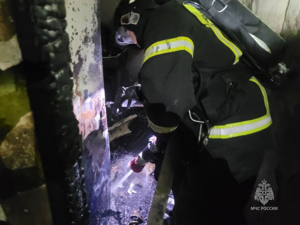 ����������� ����� �����. �������� 17 �������, ����� 1 �������, ����������� - 1, ������� � 4 ��������