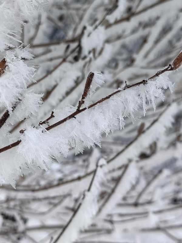 ������� �������. �� ���� ������� ���������� �������� ���