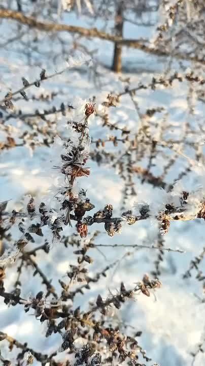 ������ �� 5 ������. ���