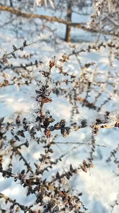 Погода на 5 января. ТВК