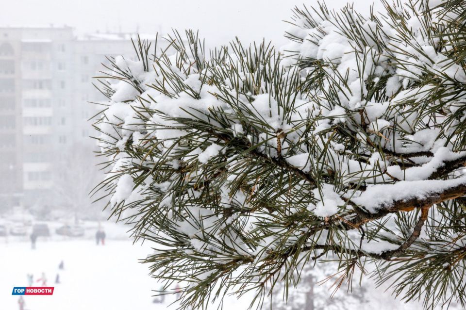 ������ �� ������: �� -2 �� -24 ��������