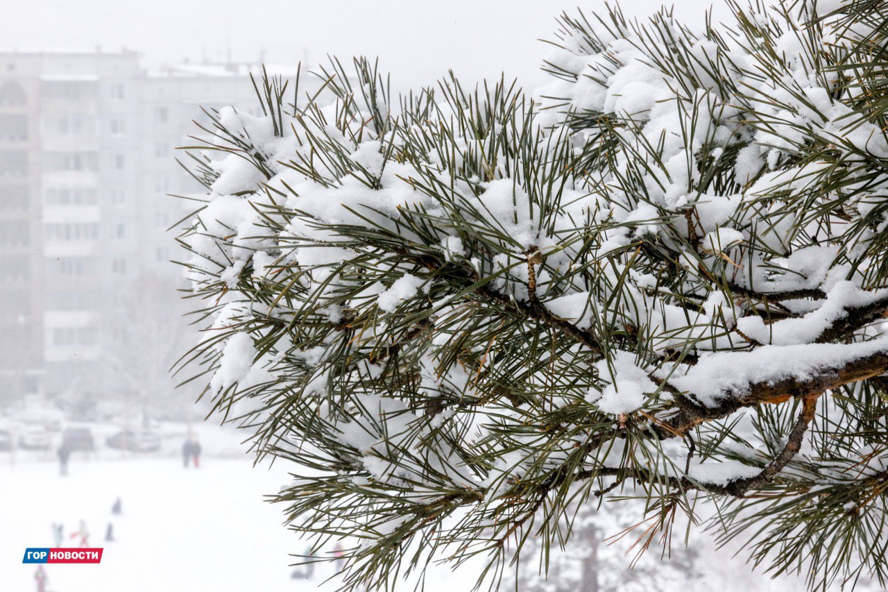 Погода на неделю: от -2 до -24 градусов