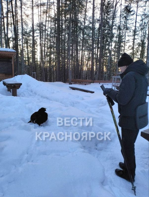 ���������� �������� �� ������� ��������