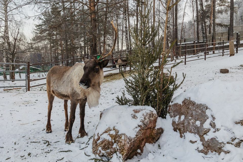 � ������������ ����� "���� �����" �������� �������� � ����������� �� ���������� ������