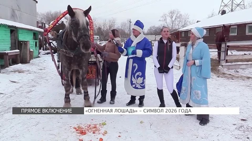 ��� �������� ������ ������������ ����?