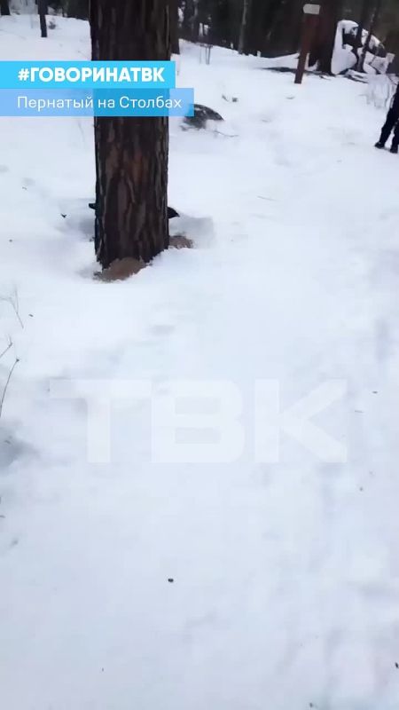 � ��� ��� ��� ����� �������� � �����������?