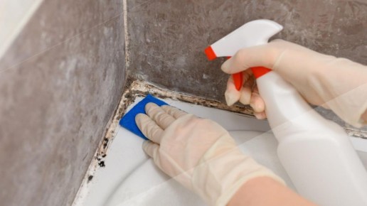 ������� � ������: ��� �������� ������ � �������� ������� �� ���������